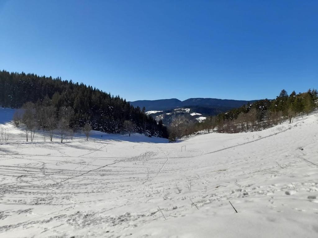 Les Glovettes De Lans Appartement Villard-de-Lans